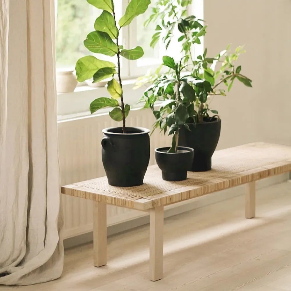 Japandi Woven Rattan Bench - Japandi