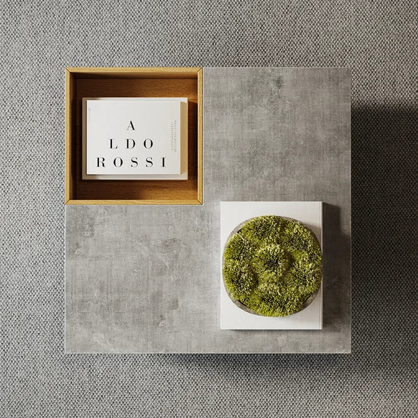 Japandi Gray Coffee Table - Japandi