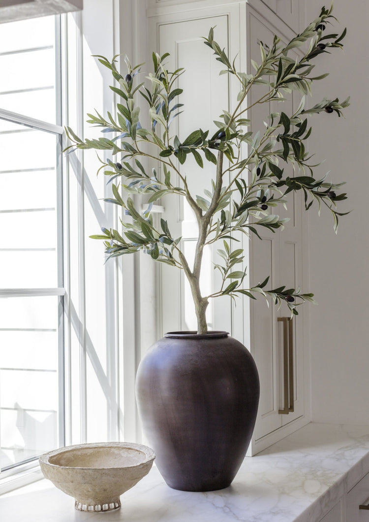 Japandi Potted Olive Tree Plant - Japandi