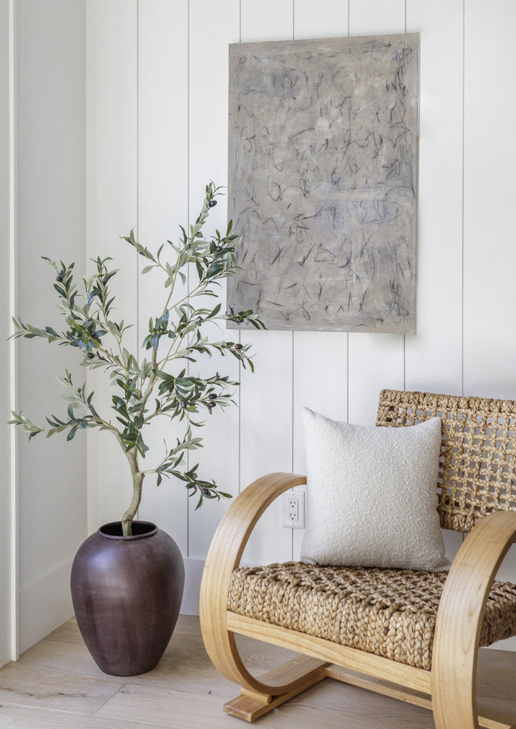 Japandi Potted Olive Tree Plant - Japandi