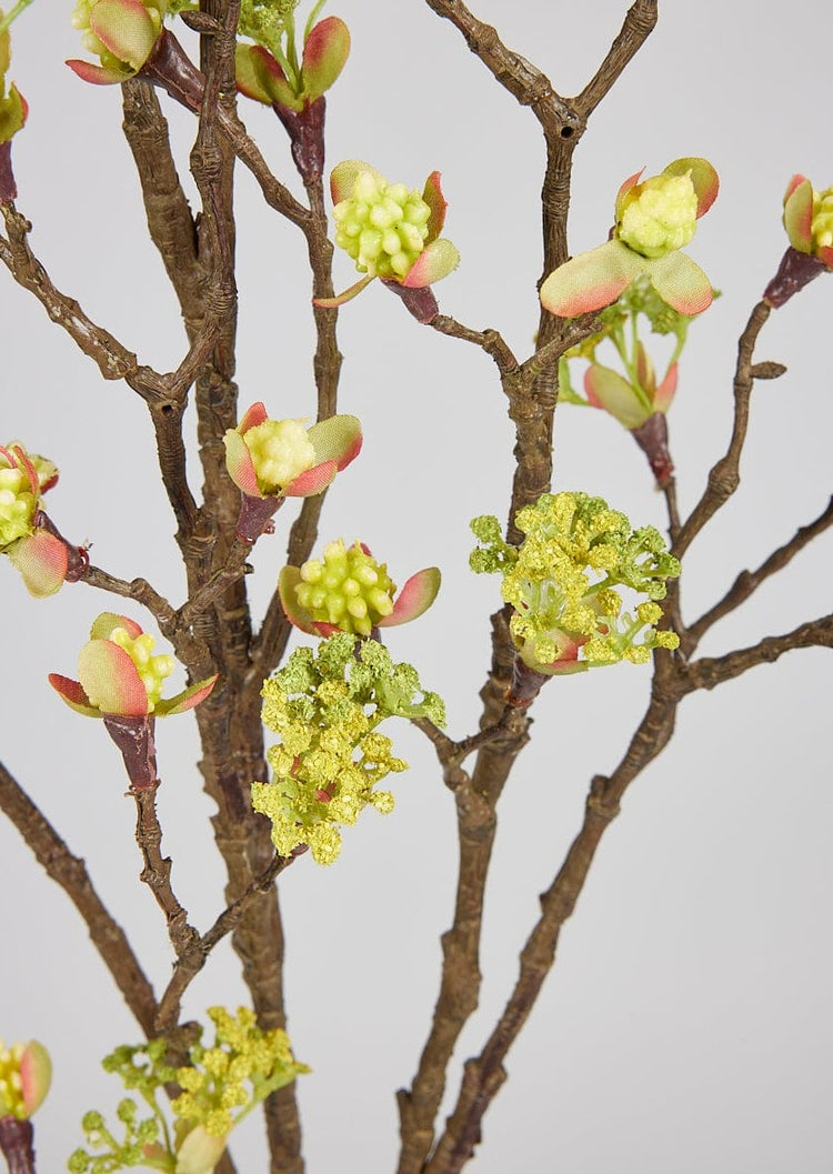 Japandi Budding Flower Branch - Japandi
