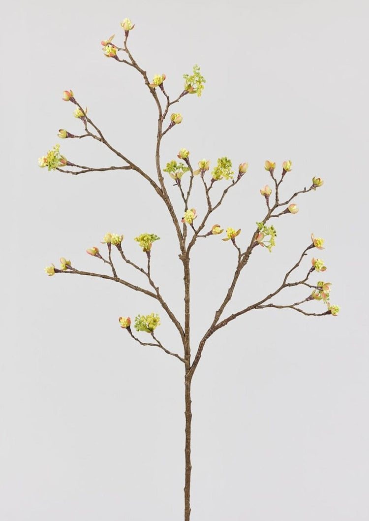 Japandi Budding Flower Branch - Japandi