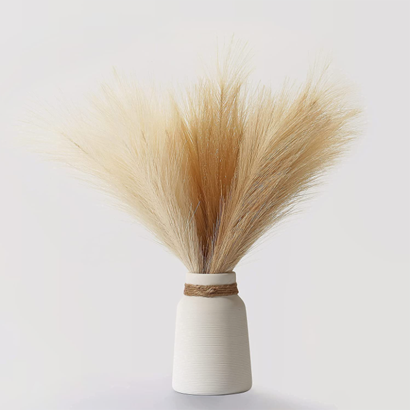 Japandi Pampa Flowers | Japandi.co - Japandi