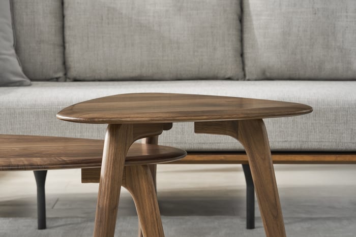 Japandi Wooden Coffee Table Set - Japandi